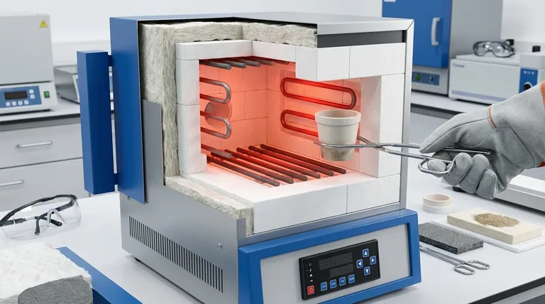 マッフル炉にはどのような材料が使用されていますか?重要な構成要素と性能に関するガイド