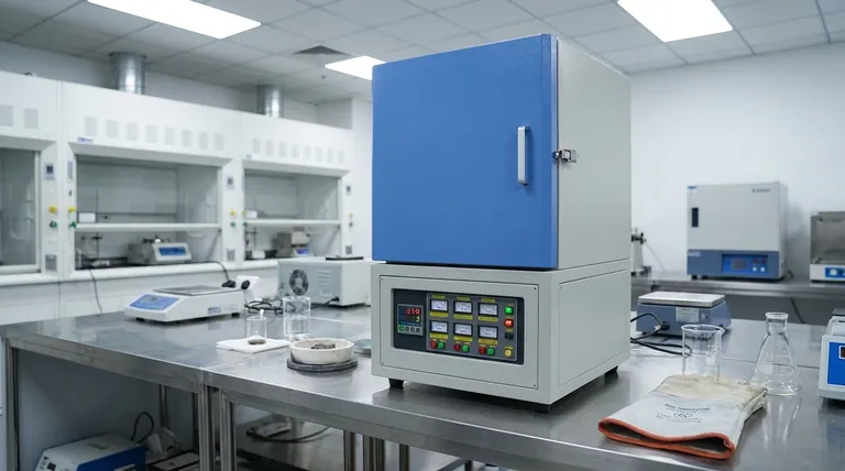 Quelle est la précision de la température d'un four à moufle ? Assurer un contrôle précis pour votre laboratoire