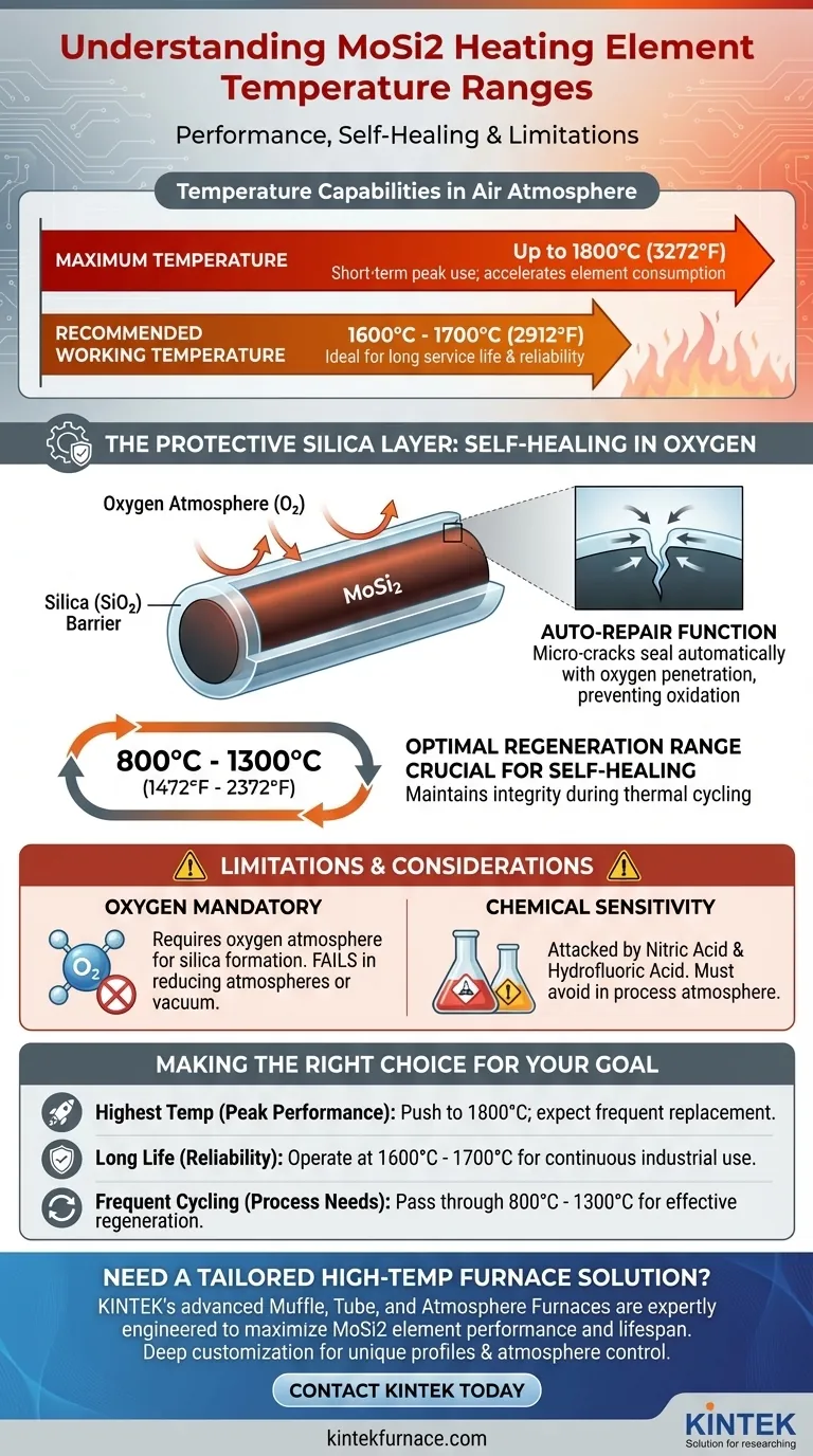 Quelle est la plage de température des éléments chauffants en MoSi2 ? Obtenez des performances fiables à haute température Guide Visuel