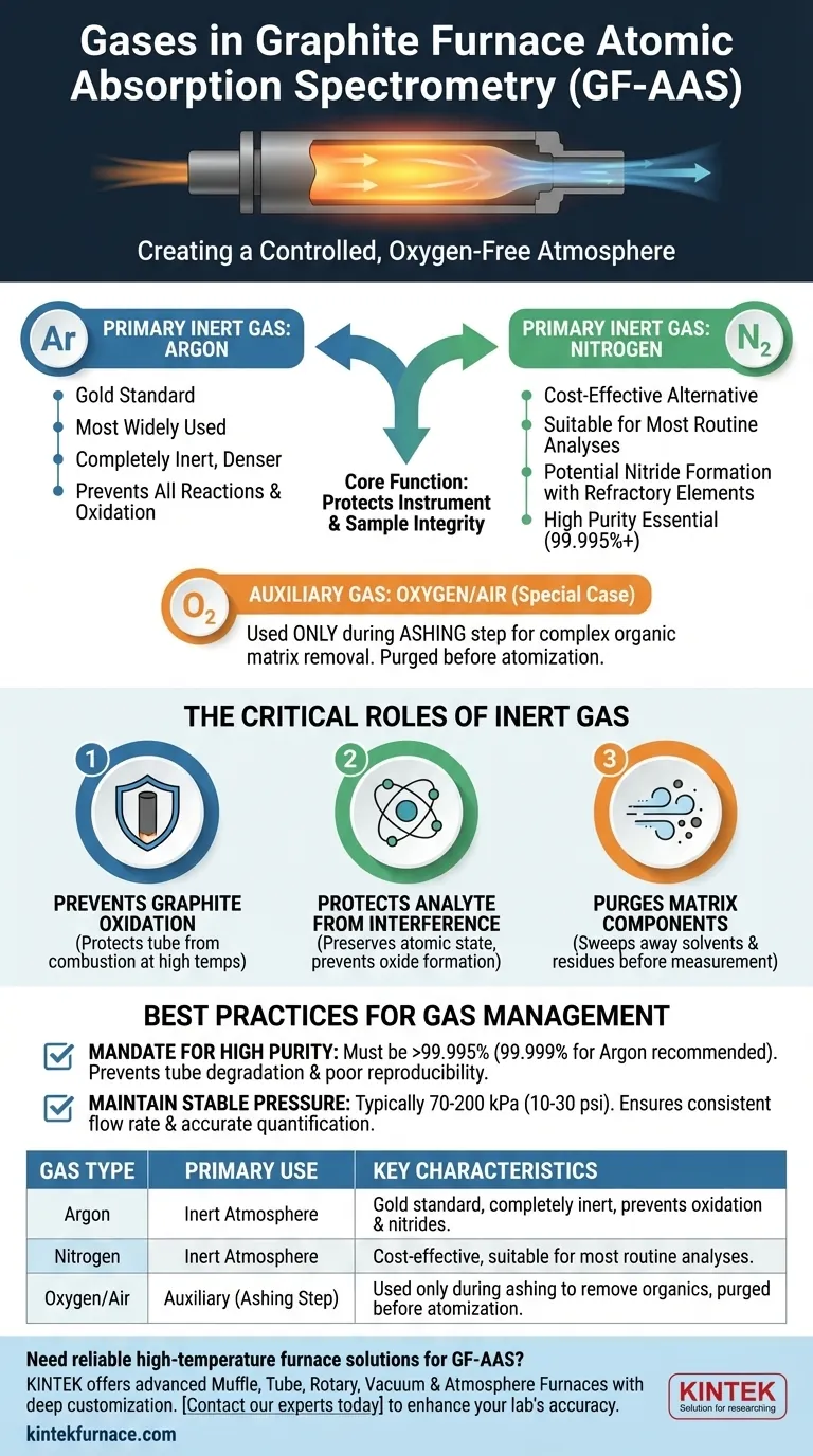 Welches Gas wird im Graphitofen verwendet? Argon vs. Stickstoff für optimale GF-AAS-Leistung Visuelle Anleitung