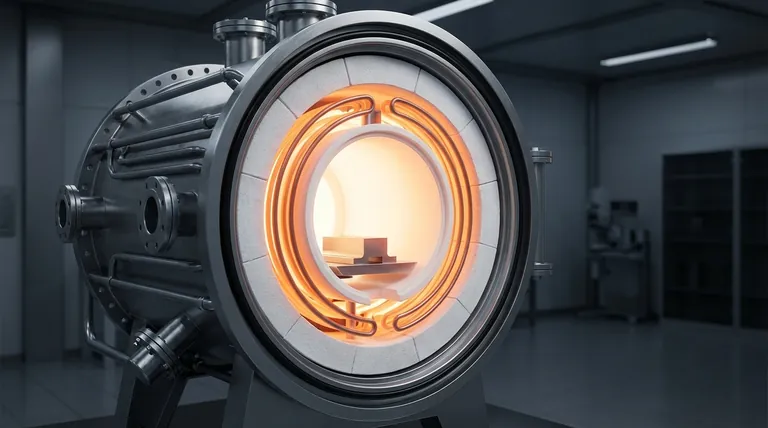 ما هي المواد المستخدمة في فرن التفريغ؟ دليل للأداء عالي الحرارة