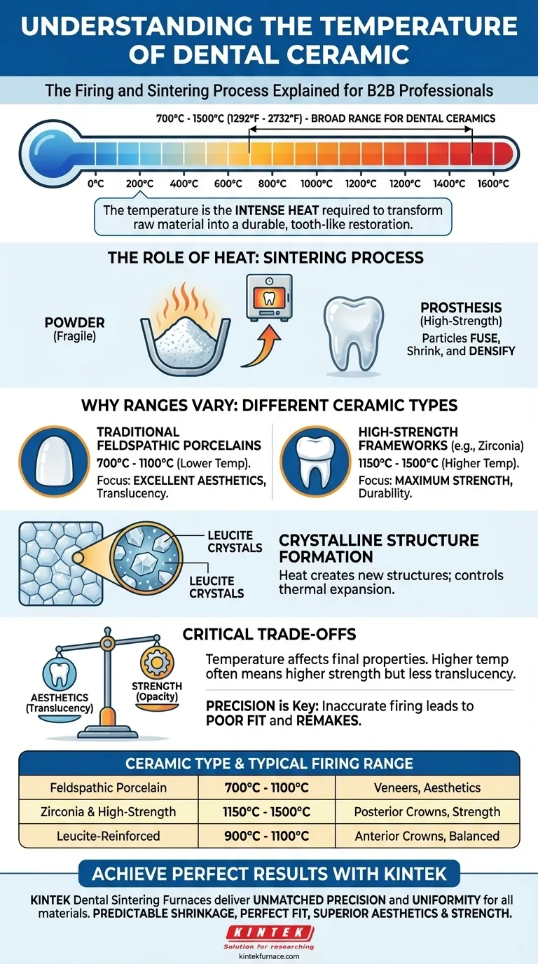 Qual è la temperatura della ceramica dentale? La chiave per restauri durevoli ed estetici Guida Visiva