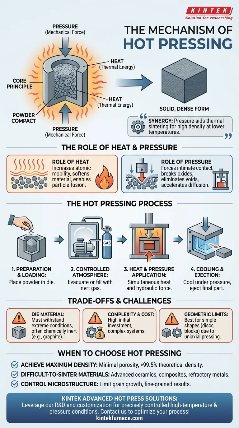 Was ist der Mechanismus des Heißpressens? Erreichen Sie eine vollständige Verdichtung für fortschrittliche Materialien Visuelle Anleitung