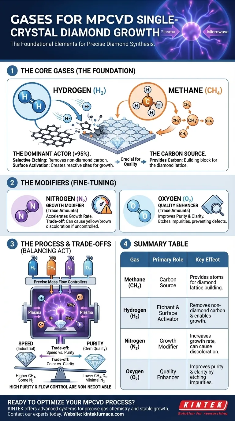 Quali gas sono comunemente usati nel metodo MPCVD? Padroneggia la chimica dei gas per la crescita di diamanti di alta qualità Guida Visiva