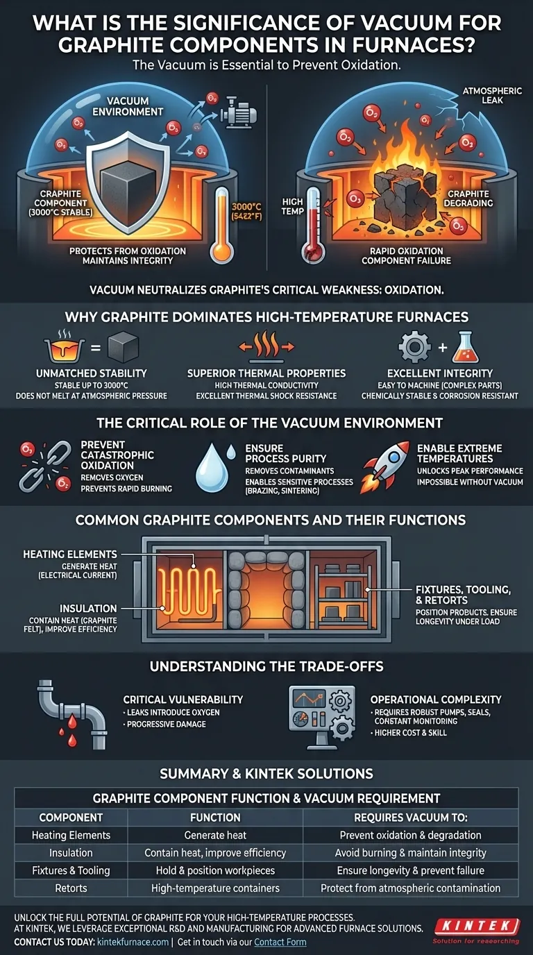 What is the significance of vacuum in relation to graphite components in furnaces? Prevent Oxidation for Extreme Temperatures Visual Guide