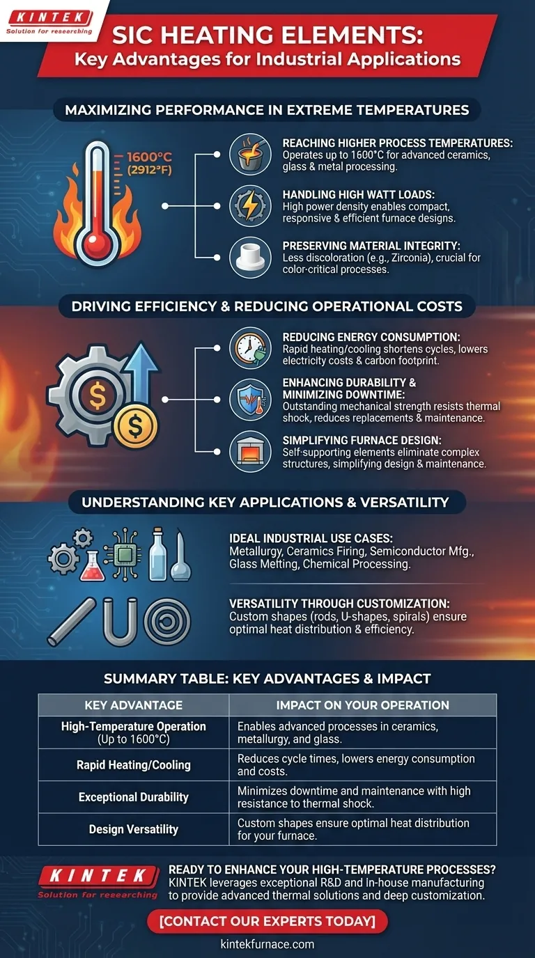 Was sind die Hauptvorteile der Verwendung von SiC-Heizelementen in industriellen Anwendungen? Steigern Sie die Effizienz & senken Sie die Kosten Visuelle Anleitung