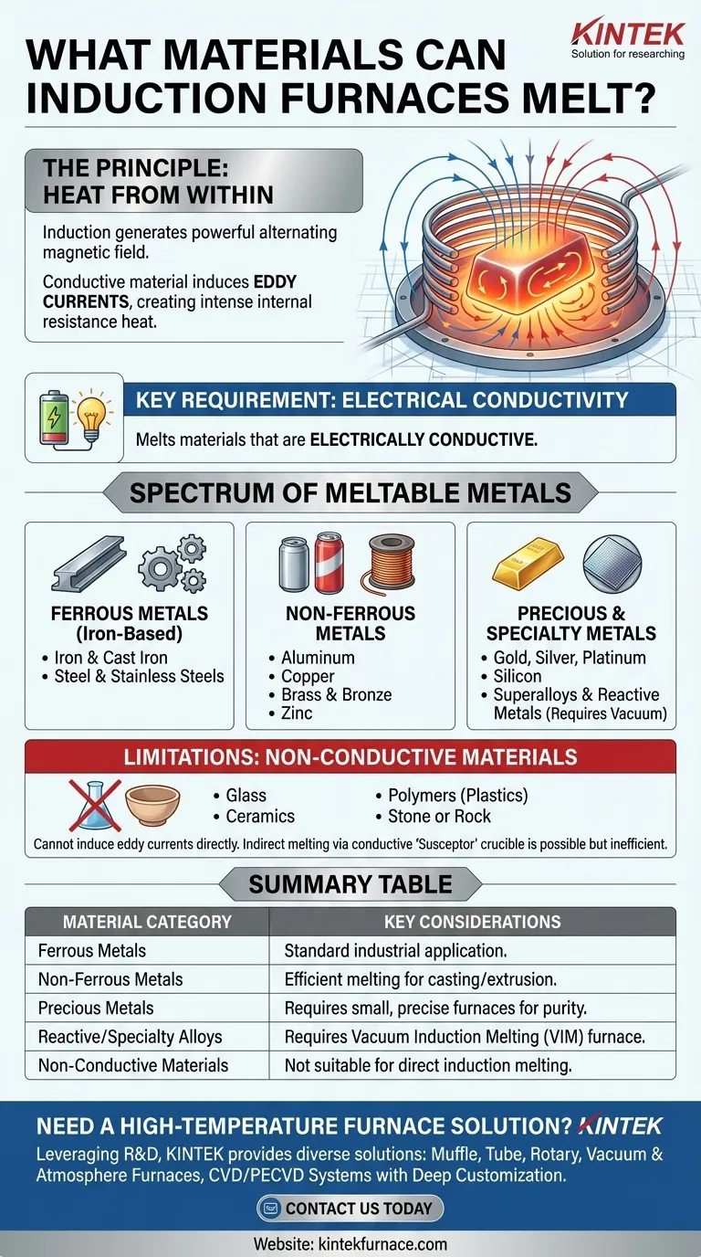 Que materiais os fornos de indução podem fundir? Um Guia para Metais e Ligas Guia Visual