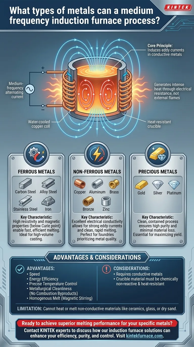 What types of metals can a medium frequency induction furnace process? Melt Everything from Steel to Gold Visual Guide