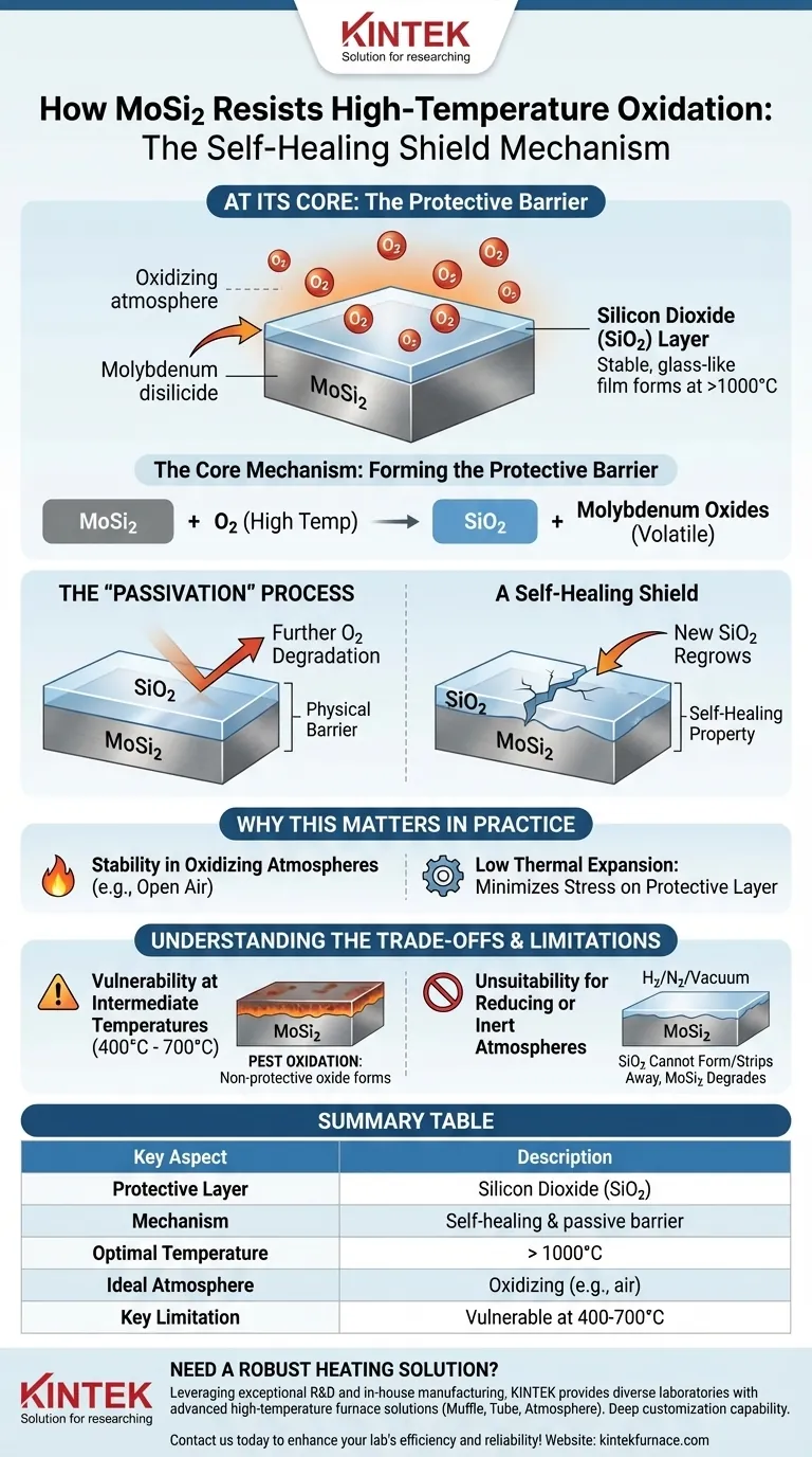 How does molybdenum disilicide (MoSi2) resist oxidation? The Self-Healing Shield Explained Visual Guide