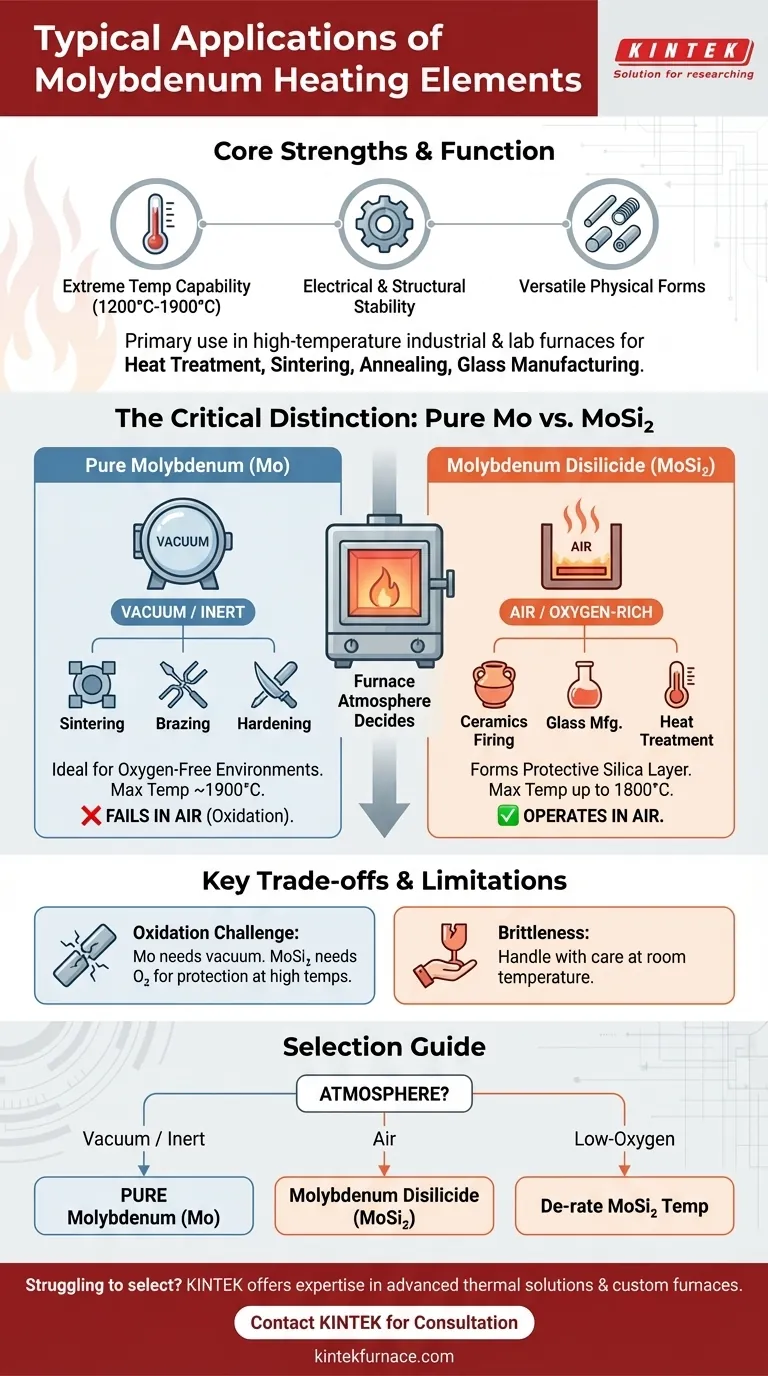 What are the typical applications of molybdenum heating elements? Powering High-Temp Furnace Processes Visual Guide