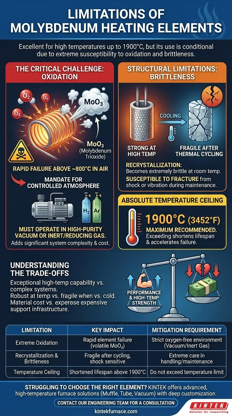 Quais são as limitações do uso de molibdénio como elemento de aquecimento? Navegando na Oxidação e Fragilidade Guia Visual