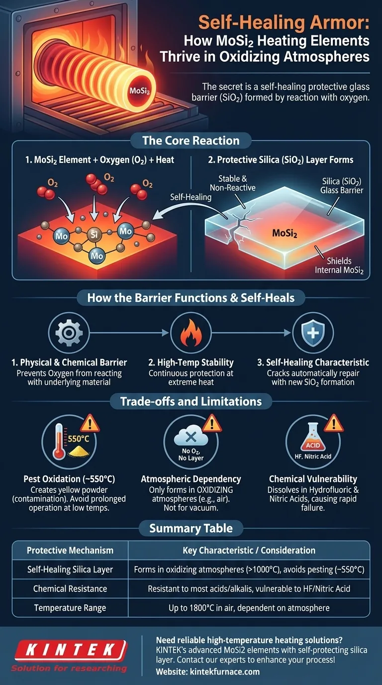 ¿Qué mecanismo de protección permite que los elementos calefactores de MoSi2 se utilicen en atmósferas oxidantes? Explicación de la capa de sílice autorreparable Guía Visual