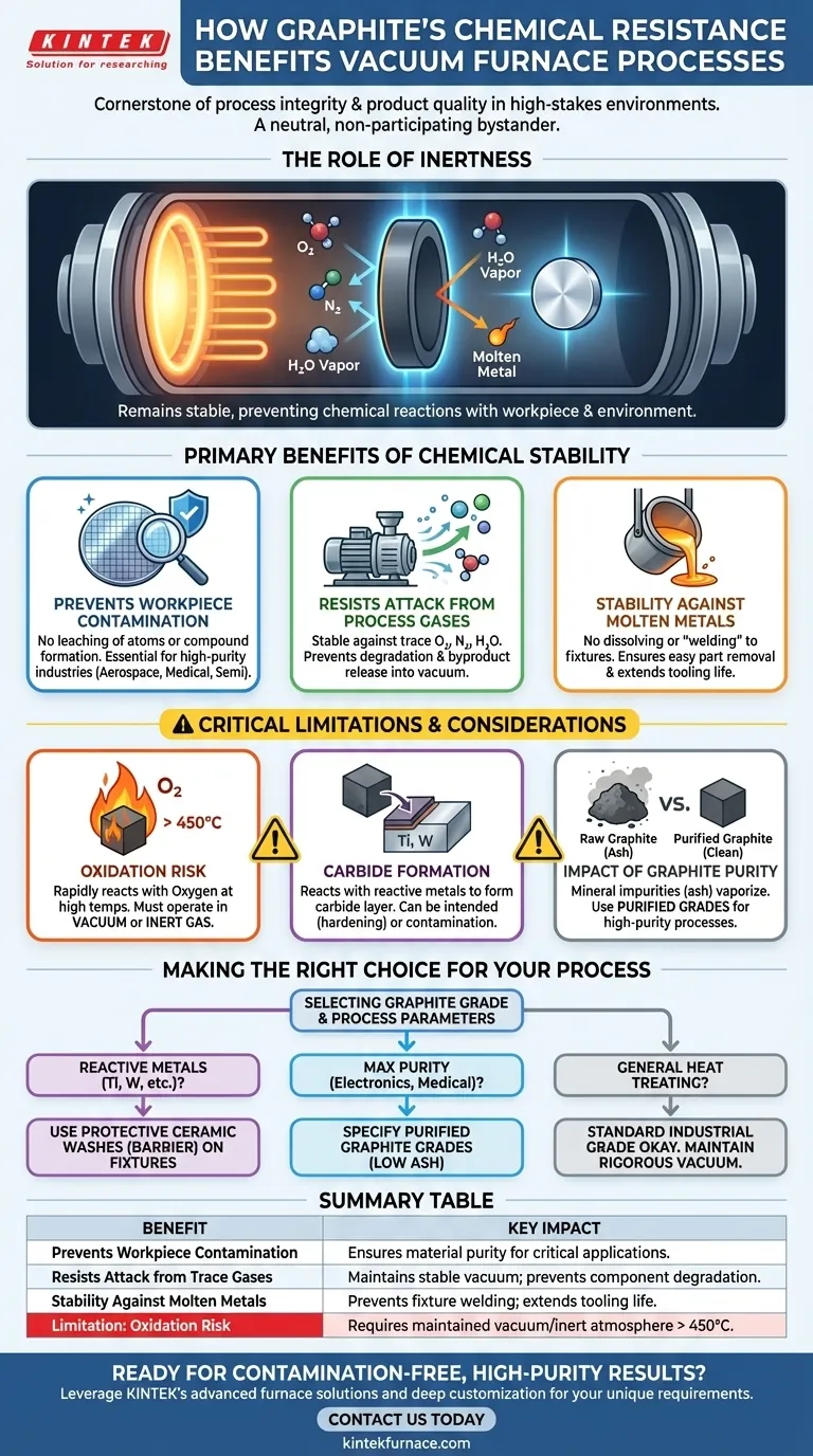 Como a resistência química do grafite beneficia os processos de fornos a vácuo? Obtenha resultados de alta pureza e livres de contaminação Guia Visual