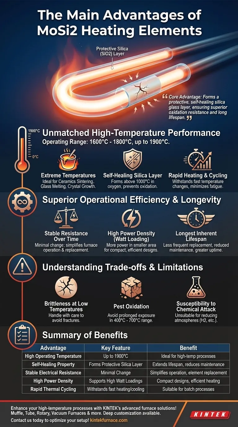 Quais são as principais vantagens dos elementos de aquecimento MoSi2? Desbloqueie Eficiência de Alta Temperatura e Longevidade Guia Visual