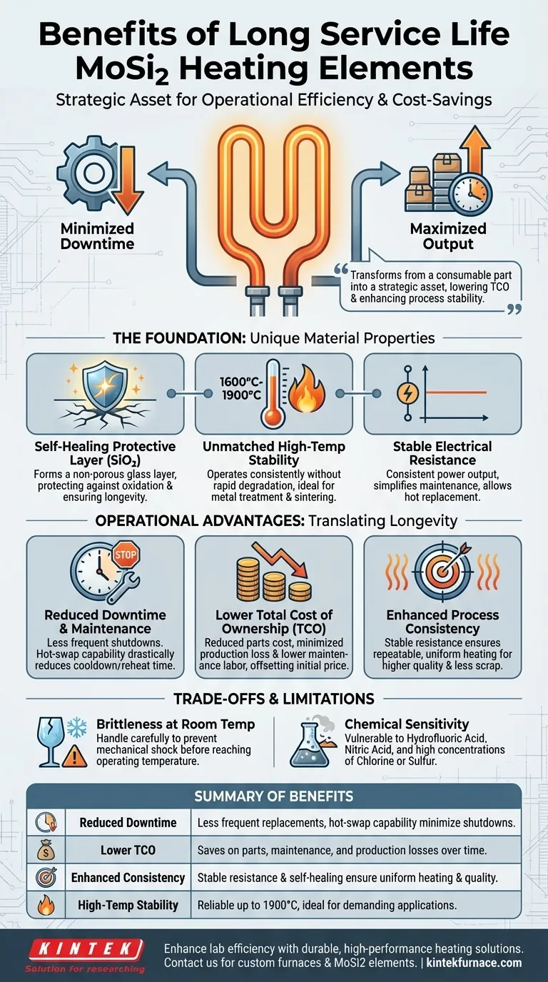 Quais são os benefícios da longa vida útil dos elementos de aquecimento MoSi2? Aumente a Eficiência e Reduza os Custos Guia Visual