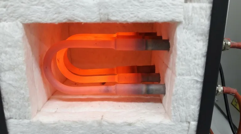 규화몰리브데늄 발열체의 표준 크기는 무엇입니까? 고온 요구 사항에 완벽하게 맞는 제품을 찾아보세요