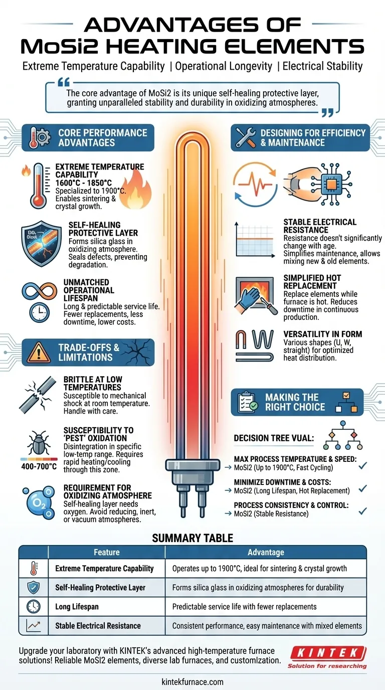 Quais são as vantagens de usar elementos de aquecimento MoSi2? Alcance Confiabilidade e Eficiência em Altas Temperaturas Guia Visual