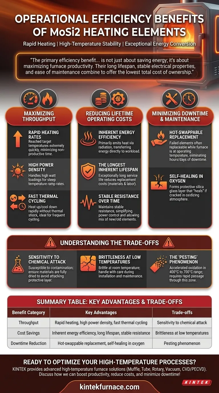 What are the operational efficiency benefits of MoSi2 heating elements? Boost Productivity and Cut Costs Visual Guide