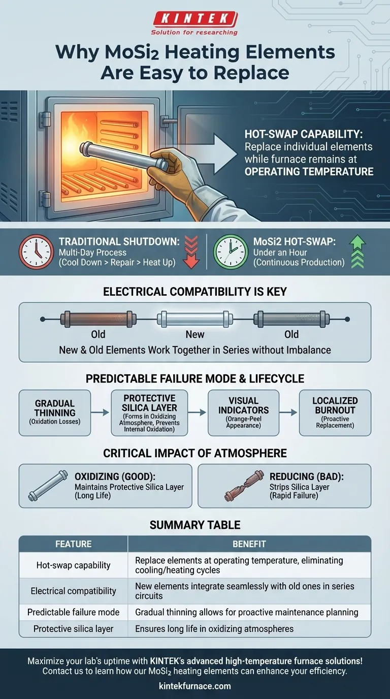 Cosa rende gli elementi riscaldanti in MoSi2 facili da sostituire? Ottieni tempi di inattività minimi con la capacità di sostituzione a caldo (Hot-Swap) Guida Visiva