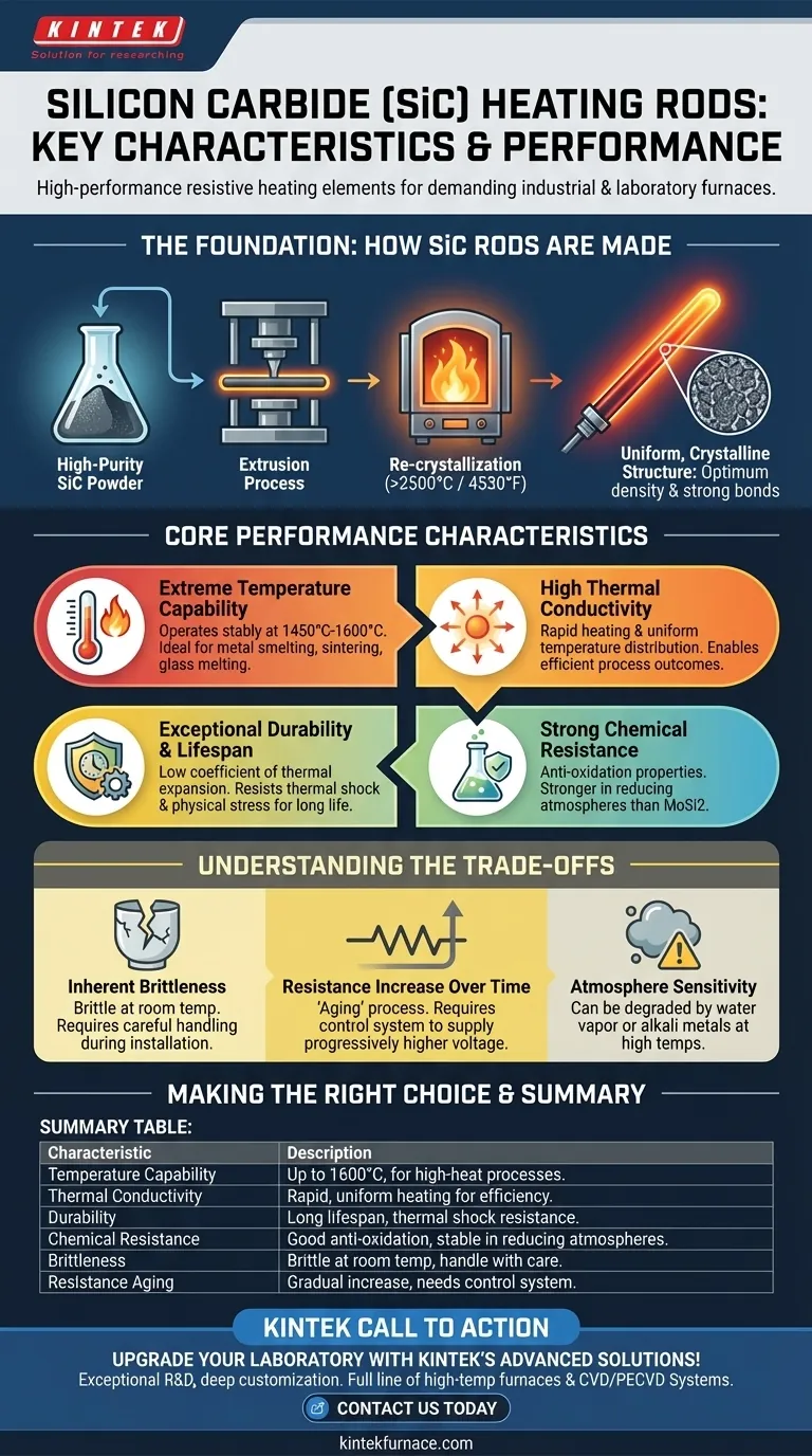 Quais são as principais características das varetas de aquecimento de carboneto de silício? Descubra Durabilidade e Eficiência em Altas Temperaturas Guia Visual