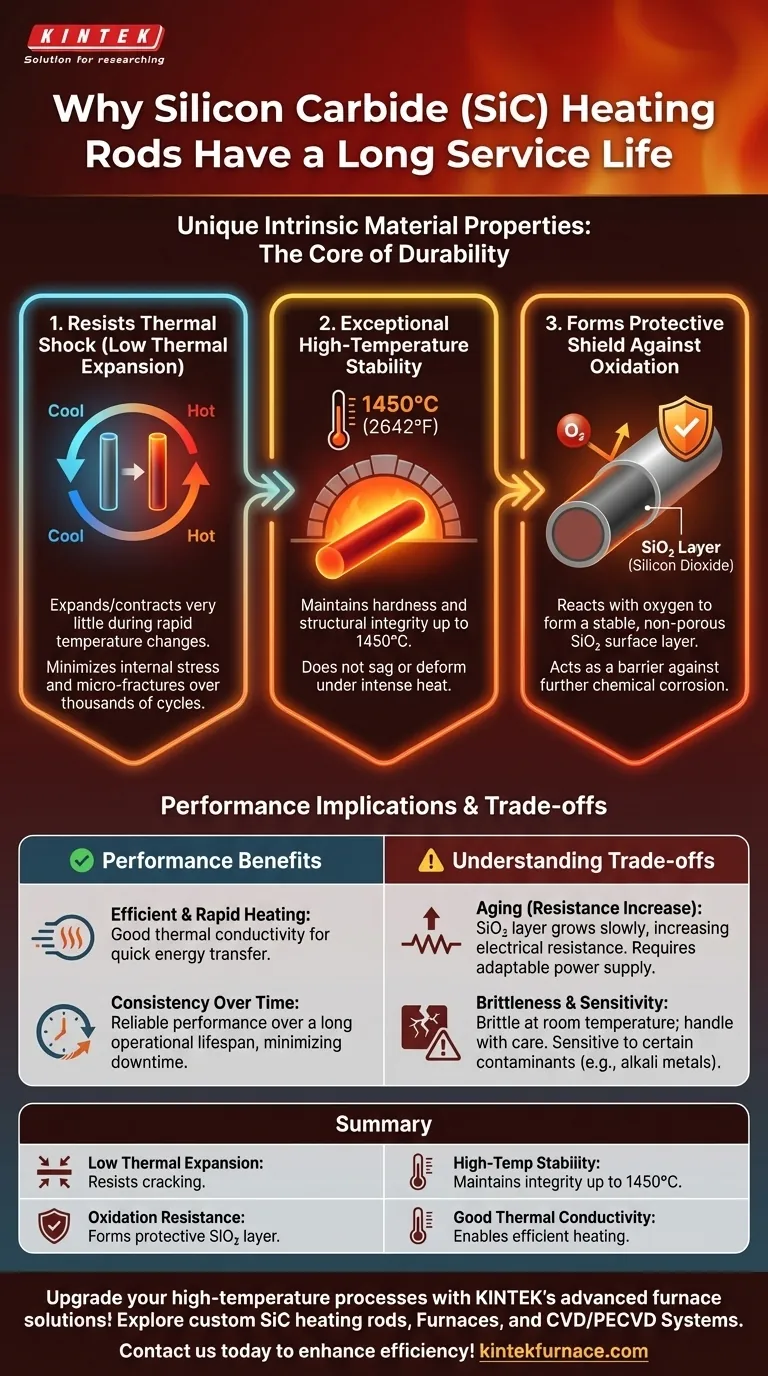 ¿Por qué las varillas calefactoras de carburo de silicio tienen una larga vida útil? Descubra su durabilidad a altas temperaturas Guía Visual