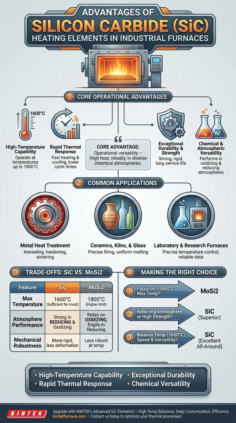 Was sind die Vorteile der Verwendung von Siliziumkarbid-Heizelementen in Industrieöfen? Effizienz und Haltbarkeit steigern Visuelle Anleitung