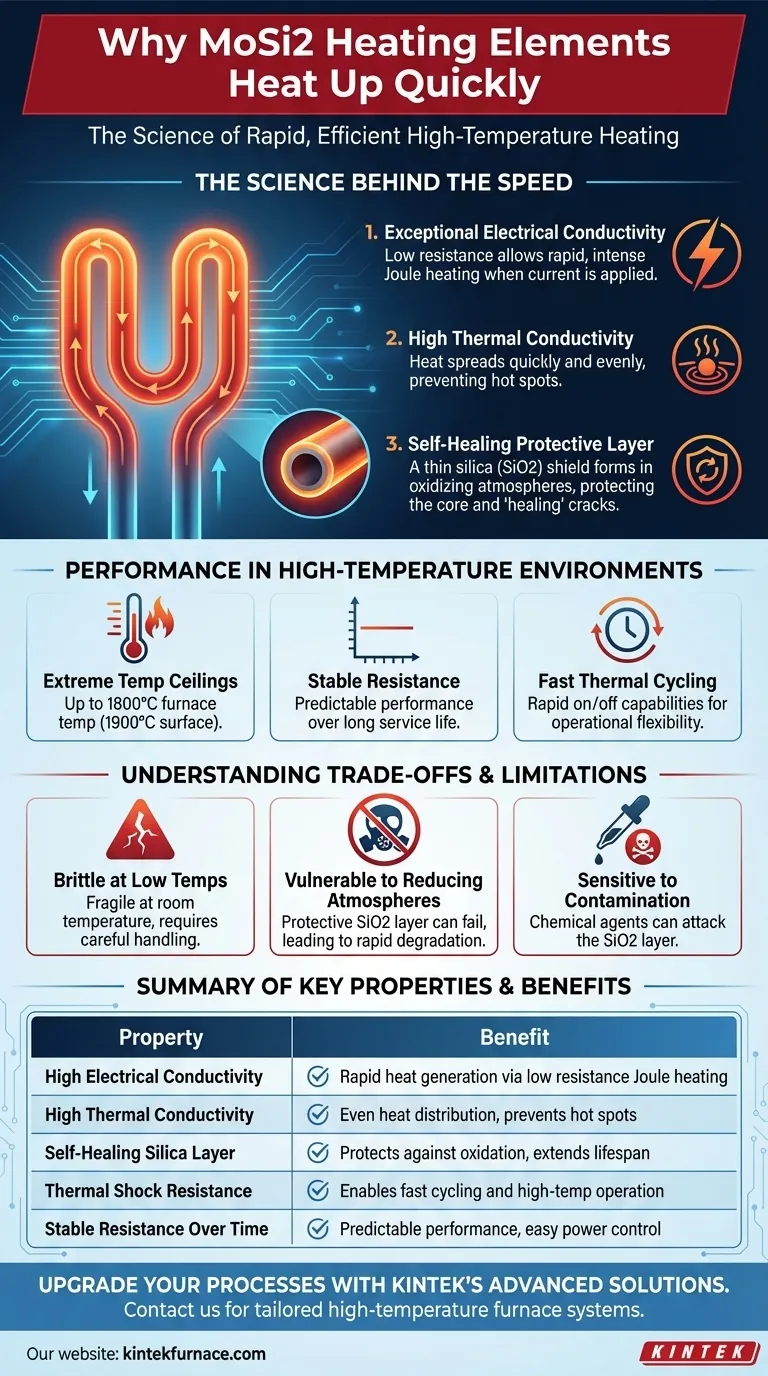 Why do MoSi2 heating elements heat up quickly? Discover Their Rapid, Efficient High-Temp Performance Visual Guide