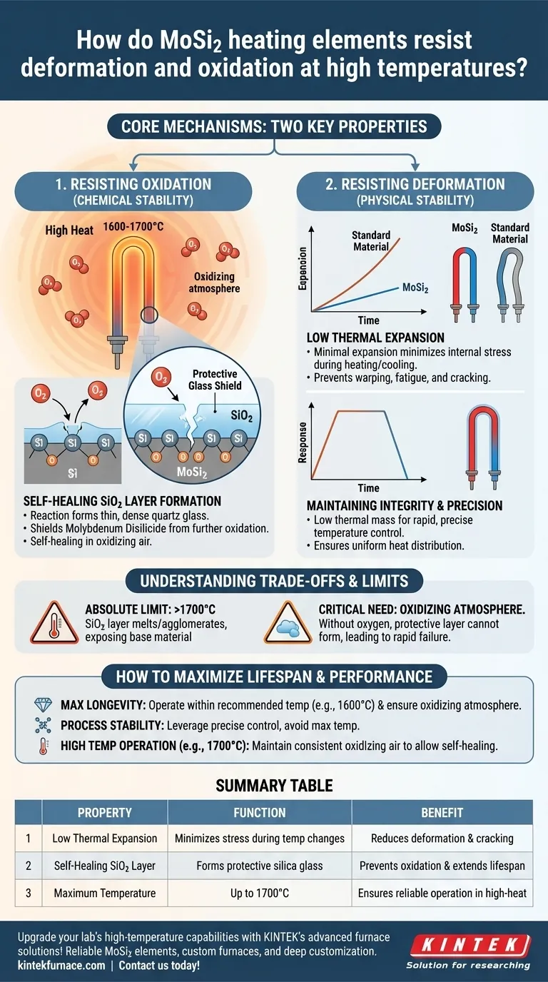 Come resistono alla deformazione e all'ossidazione ad alte temperature gli elementi riscaldanti in MoSi2? Scopri i loro segreti di autoriparazione Guida Visiva