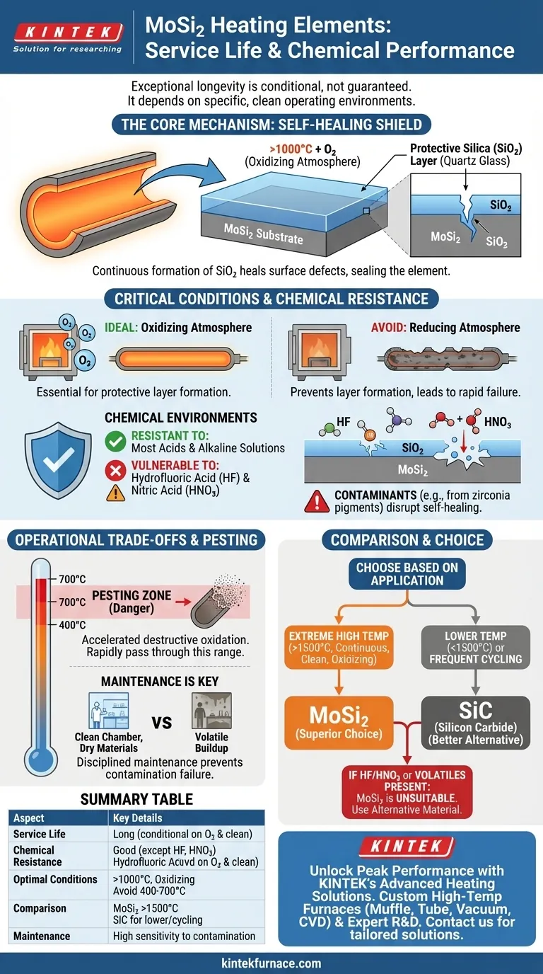 Qual è la durata di servizio degli elementi riscaldanti in MoSi2 e come si comportano in ambienti chimici? Massimizza la longevità con un uso corretto Guida Visiva