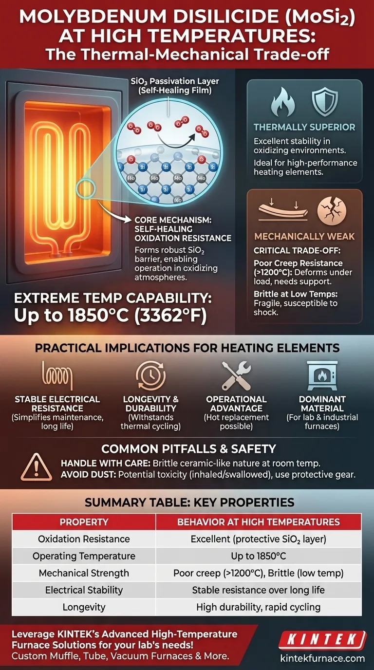 二硅化钼在高温下表现如何？在极端高温下释放卓越性能 图解指南