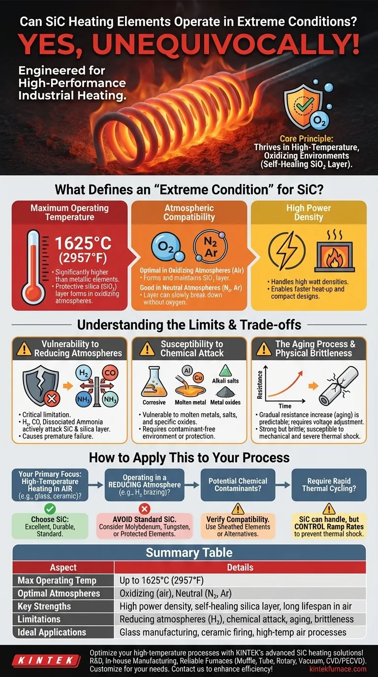 Gli elementi riscaldanti in SiC possono operare in condizioni estreme? Scopri la loro durabilità alle alte temperature Guida Visiva