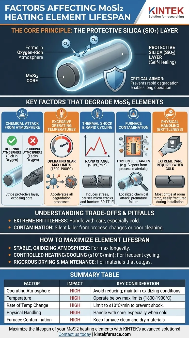What factors affect the lifespan of MoSi2 heating elements? Maximize Longevity with Proper Care Visual Guide
