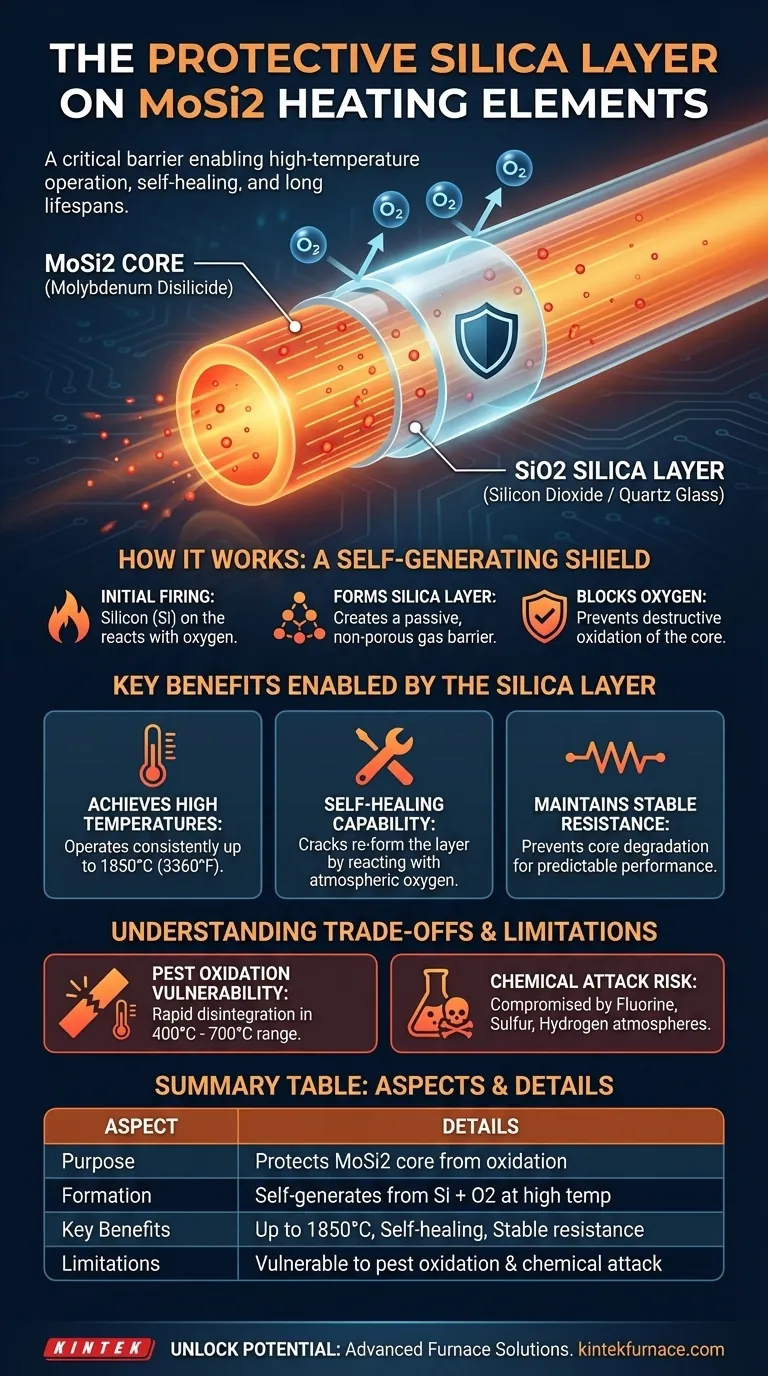Qual é o propósito da camada de sílica nos elementos de aquecimento MoSi2? Descubra a chave para a proteção em altas temperaturas Guia Visual