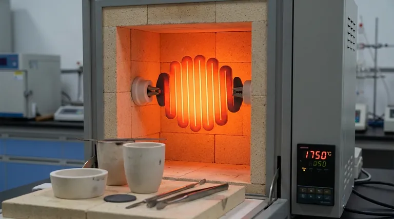 如何防止MoSi2发热元件中的晶粒长大?通过添加剂工程延长寿命