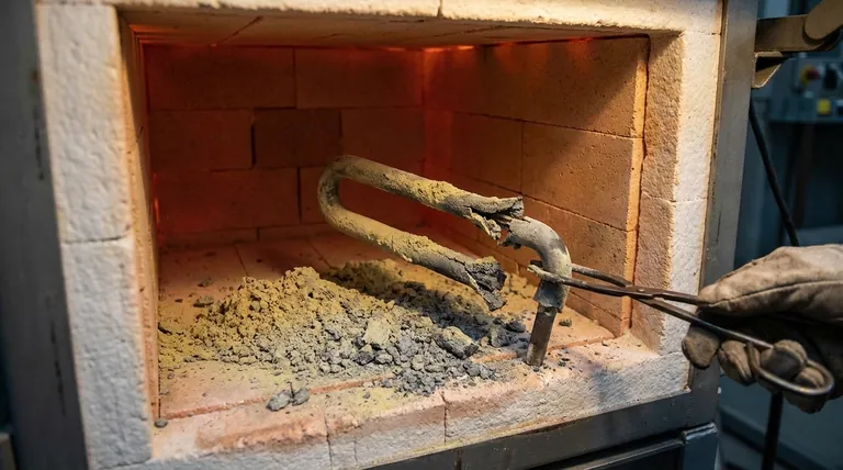 Warum sollten MoSi₂-Heizelemente nicht über längere Zeiträume bei 400–700 °C verwendet werden? Vermeiden Sie einen katastrophalen Ausfall in Ihrem Laborofen