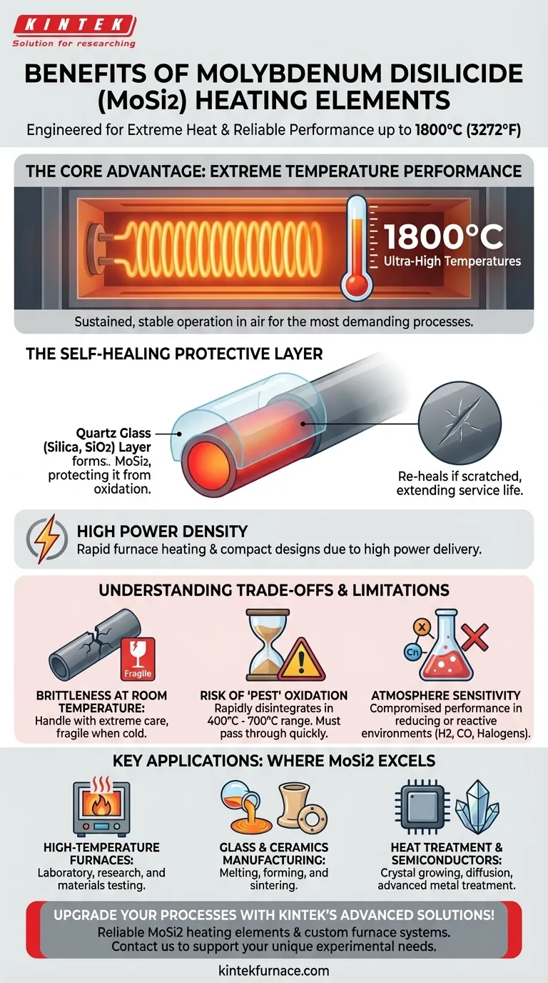 Quais são os benefícios dos elementos de aquecimento de Dissiliceto de Molibdênio? Alcance Desempenho Confiável em Altas Temperaturas Até 1800°C Guia Visual