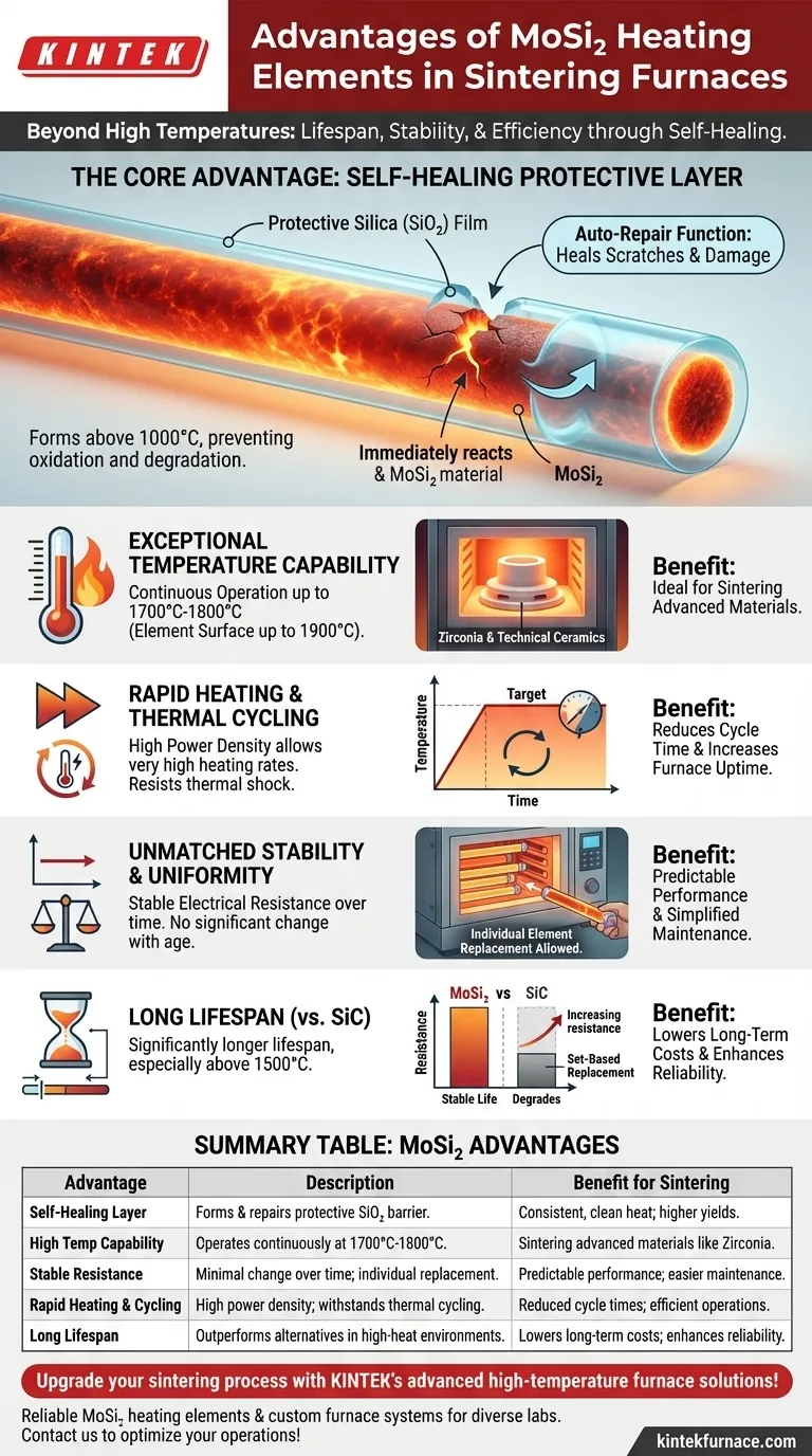 Quais são as vantagens de usar elementos de aquecimento de MoSi2 em fornos de sinterização? Aumente a Eficiência da Sinterização com Elementos Duráveis e Auto-reparáveis Guia Visual