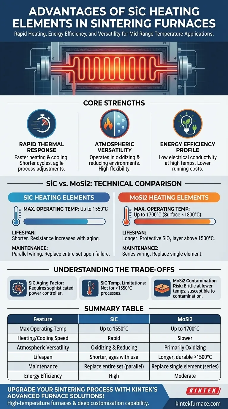 Welche Vorteile bieten SiC-Heizelemente in Sinteröfen? Steigern Sie Effizienz und Vielseitigkeit Visuelle Anleitung