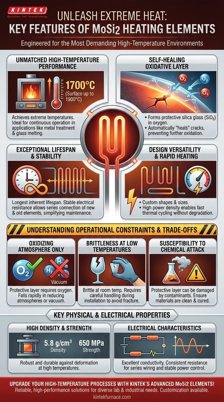What are the key features of MoSi2 heating elements? Unlock High-Temp Performance & Longevity Visual Guide
