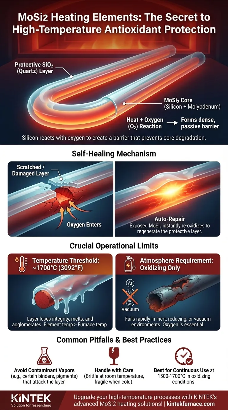 How does the high-temperature antioxidant property of MoSi2 heating elements work? Unlock Longevity with Self-Healing Protection Visual Guide