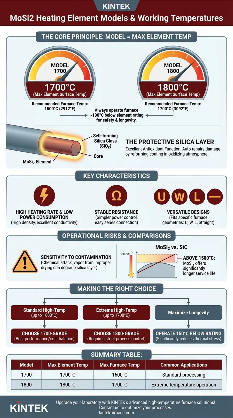 What are the models of MoSi2 heating elements and their working temperatures? Choose the Right Model for Your High-Temp Needs Visual Guide