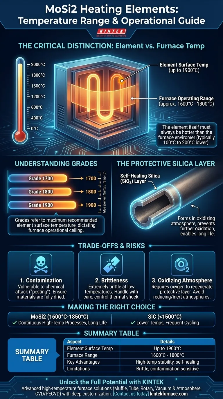 In quale intervallo di temperatura possono operare gli elementi riscaldanti in MoSi2? Ottieni precisione ad alta temperatura con soluzioni esperte Guida Visiva