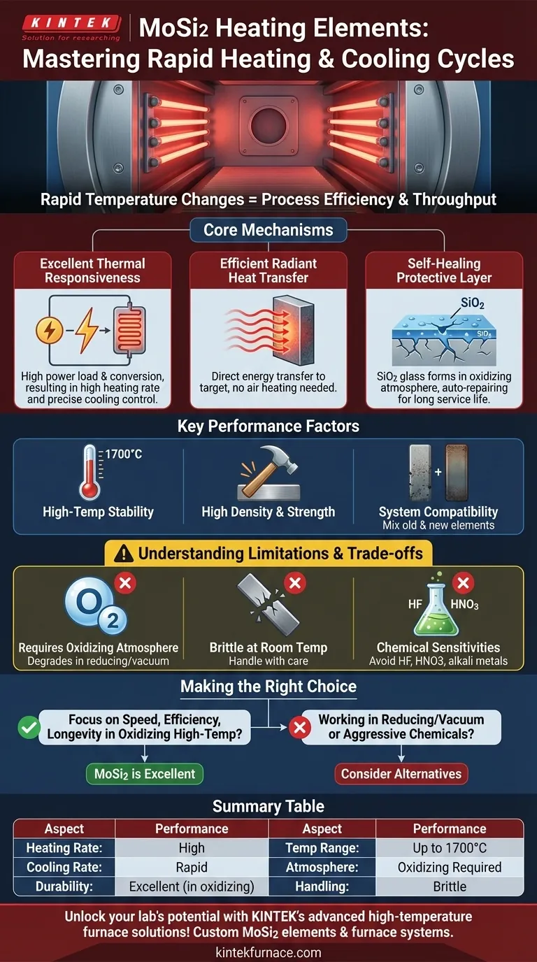 How do MoSi2 heating elements perform in terms of heating and cooling cycles? Discover Rapid Thermal Cycling Benefits Visual Guide