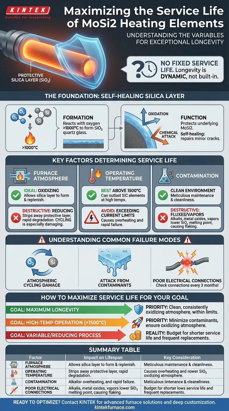 Qual é a vida útil dos elementos de aquecimento de MoSi2? Maximize a vida útil com os devidos cuidados Guia Visual