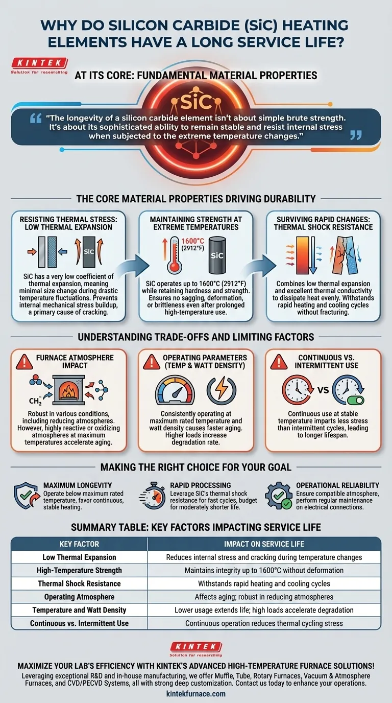 탄화규소 발열체는 왜 수명이 긴가요? 내구성이 뛰어난 고온 성능의 비밀을 밝히세요 시각적 가이드