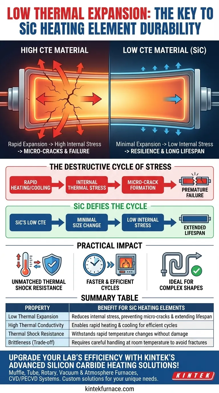 Wie trägt die geringe Wärmeausdehnung zur Langlebigkeit von Siliziumkarbid-Heizelementen bei? Entfesseln Sie langlebige Leistung Visuelle Anleitung