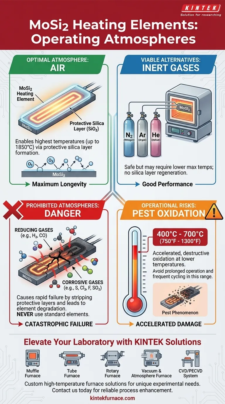 Under what process atmospheres can MoSi2 heating elements be operated? Optimize Performance and Lifespan Visual Guide