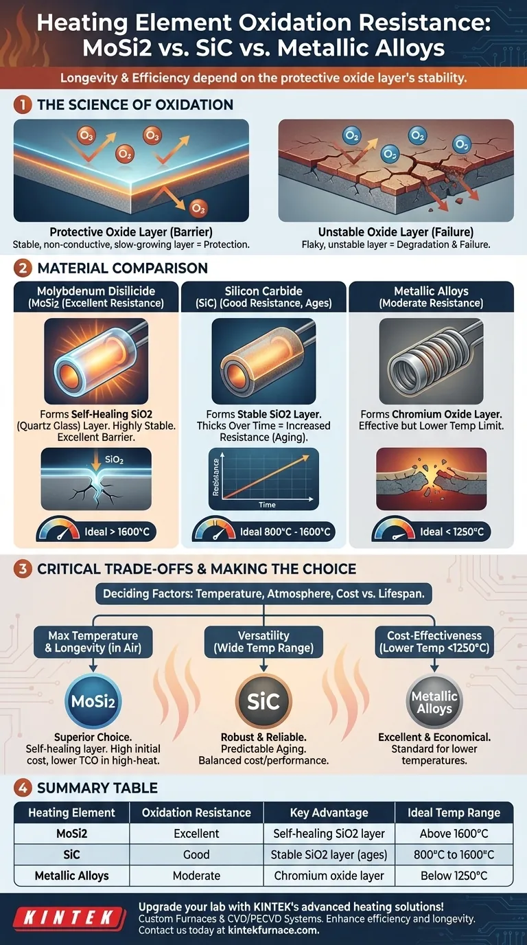 Which heating element has better oxidation resistance? Discover MoSi2's Superior Protection Visual Guide