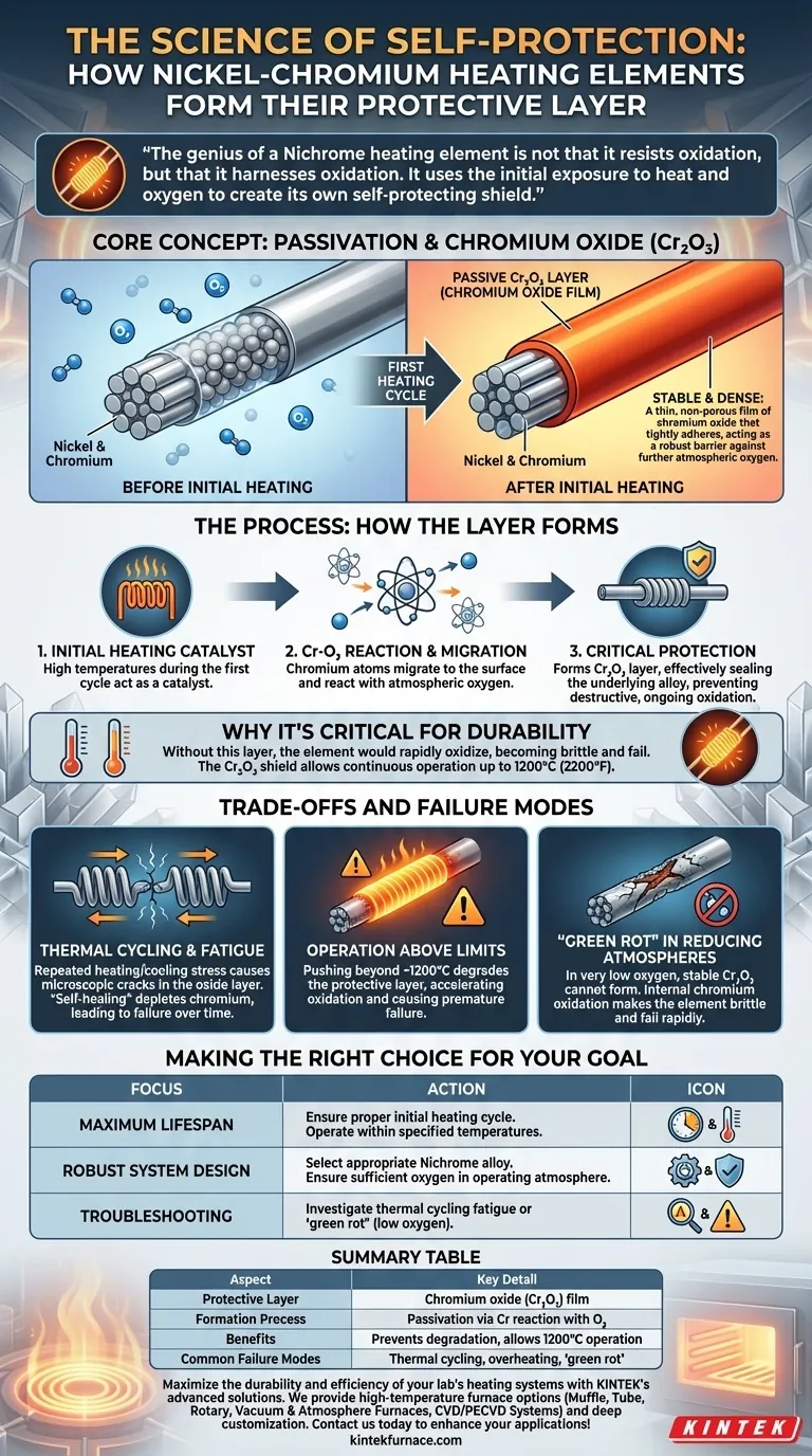 Como se forma a camada protetora nos elementos de aquecimento de Níquel-Cromo? Desvende o Segredo para um Desempenho Duradouro Guia Visual