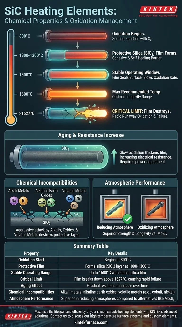 Quais são as propriedades químicas dos elementos de aquecimento de carboneto de silício em relação à oxidação? Maximize a vida útil com oxidação controlada Guia Visual